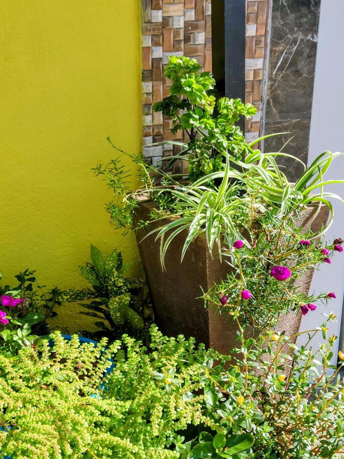 Hospedagem Encantos Da Serra Itatiaia  Εξωτερικό φωτογραφία